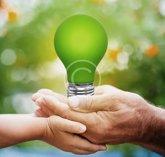 bulb